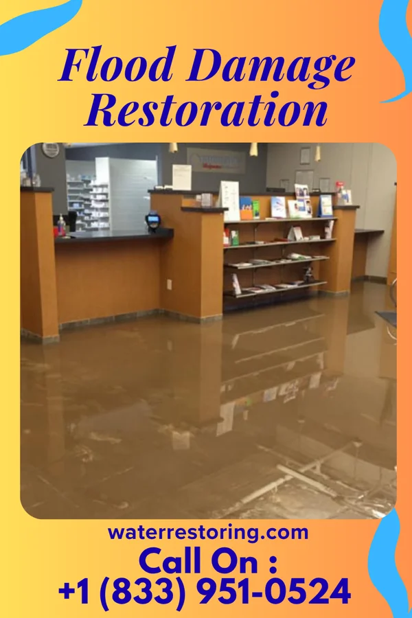 Flood Damage Restoration in Ferrysburg, MI